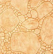 009壓花地坪樣品